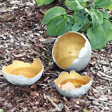 Апартаменты _glueckseeligkeit_